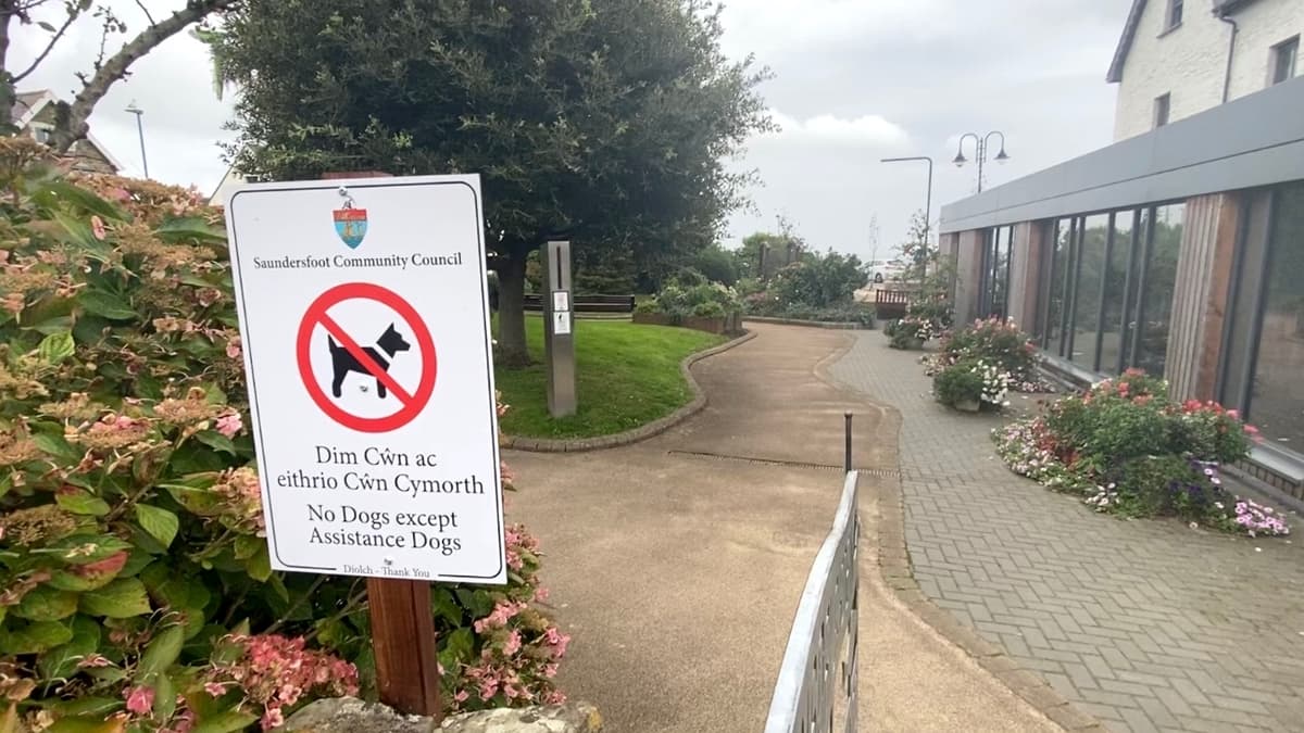 Awardwinning Saundersfoot garden considers banning dogs due to regular